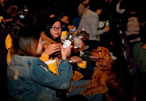 吐吐电影院电影在线看
