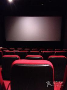 金逸影院电影,光影交织,尽享视听盛宴