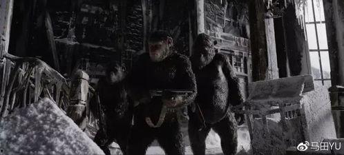 鬼叫春1972不卡影院,惊悚悬疑,不卡影院独家呈现